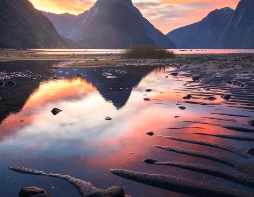 Galeria de fotografias de William Patino - Nova Zelândia