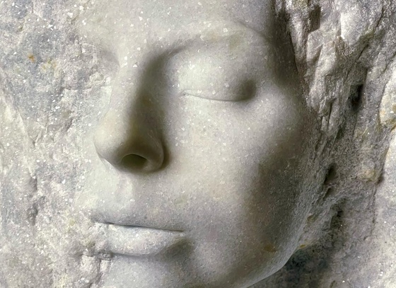 Brendan H Johnston
