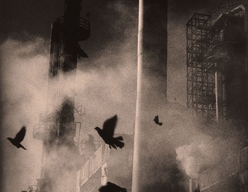 david allan brandt