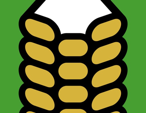 braley design