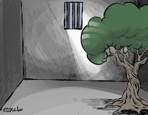 Los árboles palestinos