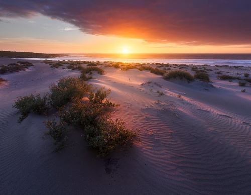 Gallery Of Photography By Rodrigo Viveros - Chile