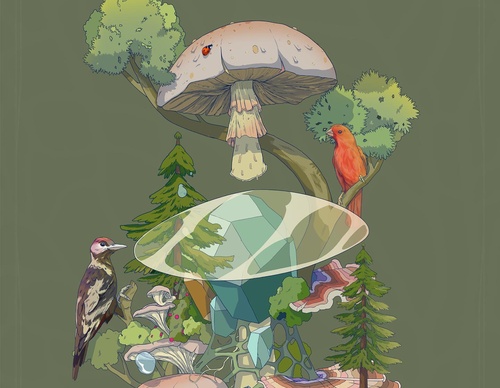 Galería De Ilustración De David Piñón - México