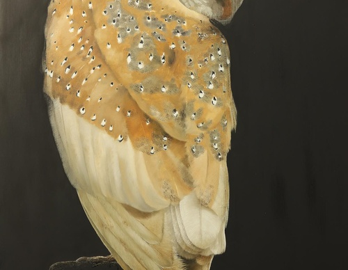 Galería de pintura realista de Annie Drew - Reino Unido