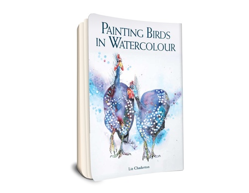 Pintura de pájaros en acuarela por Liz Chaderton