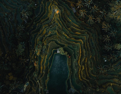 Galeria de fotografias de Long-Nong Huang - Alemanha
