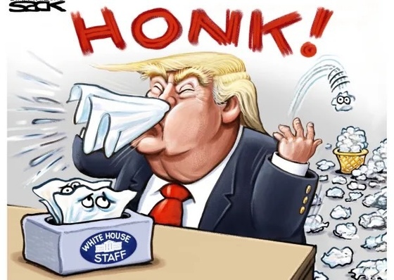 Gallery Of Humor Drawing By Steve Sack - USA