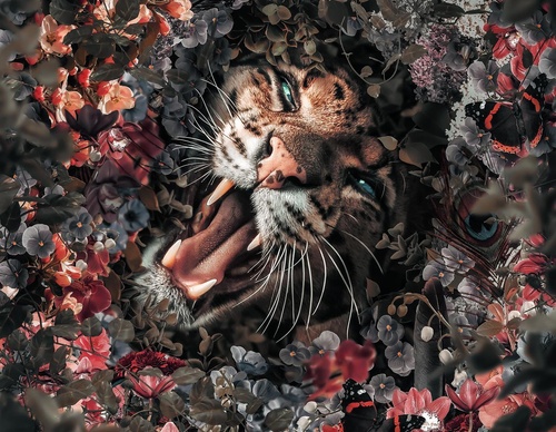 Galería de fotografías de Evgeny Gammer - Rusia