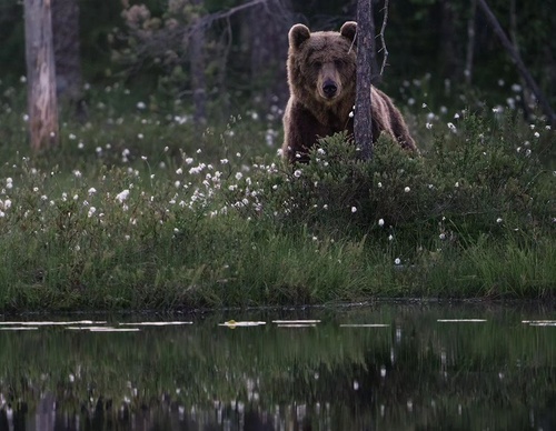 Gallery Of Photography By Elias Kalliola - USA