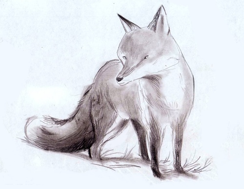 Gallery of illustration by Mahnaz SoleymanNejad- Iran
