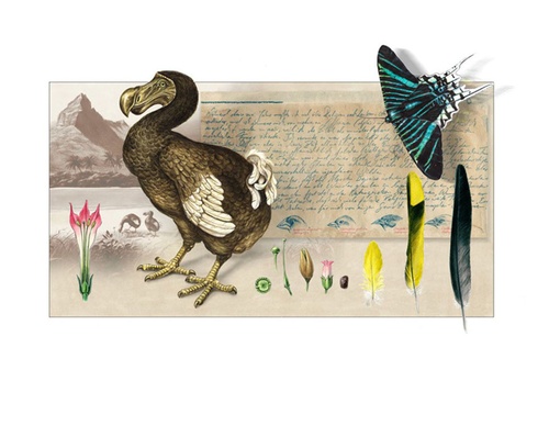 best illustrators worldwide