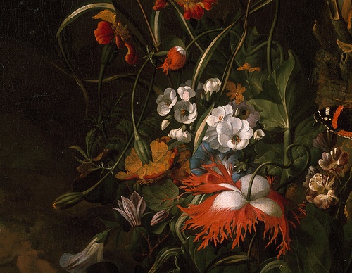 Galería de pintura de Rachel Ruysch, Países Bajos