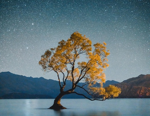 Gallery Of Photography By Luke Stackpoole - United Kingdom