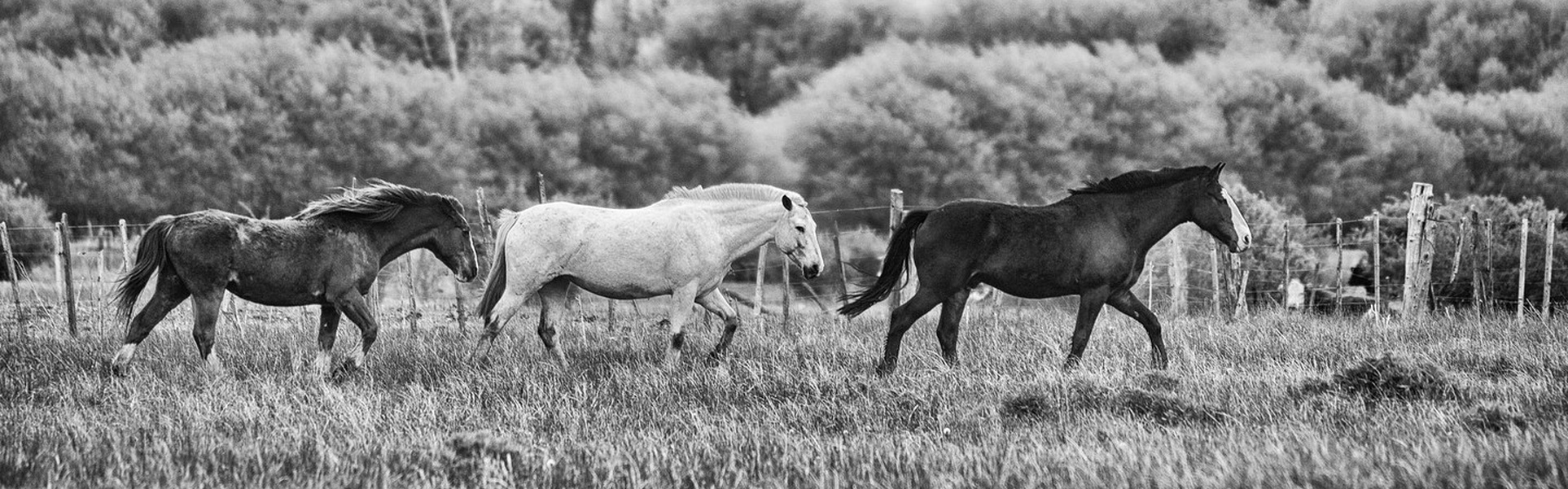 Galería de fotografía de Patricio Rodríguez - Argentina