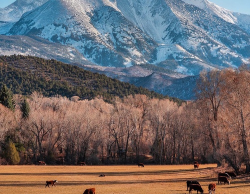 Gallery Of Photography By Jacob Rossi - USA