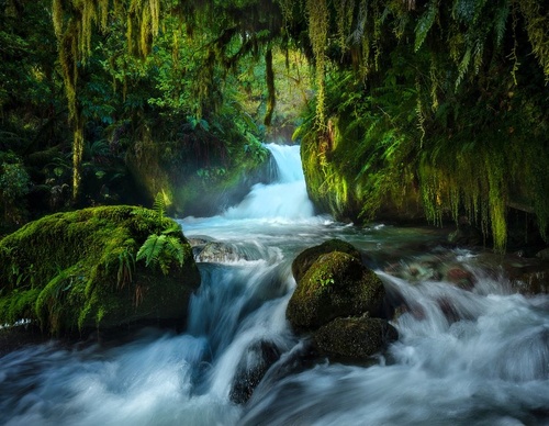 Galeria de fotografias de William Patino - Nova Zelândia
