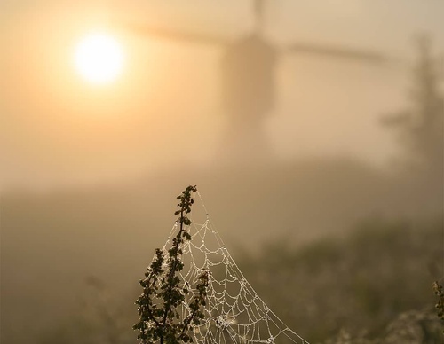 Galería de fotografía de Gijs de Reijke - Holanda