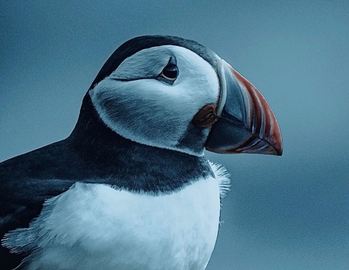Gallery Of Photography By Chris Henry - USA