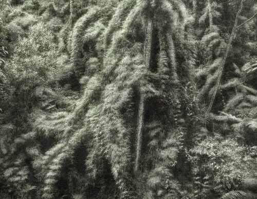 Gallery Of Photography By Cassio Vasconcellos - Brazil