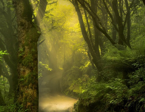 Galería de fotografía de Jorge Reinaldo - Portugal