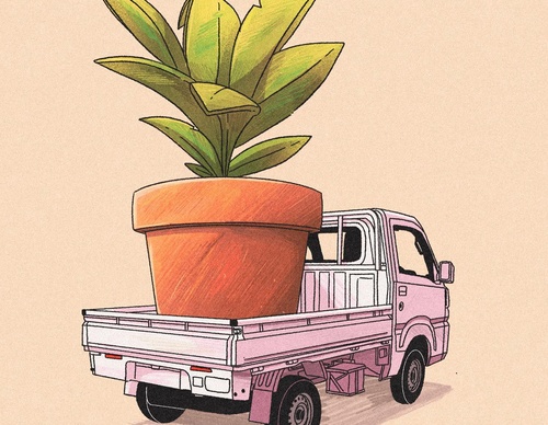 Galeria de ilustrações de Pequeño Capitan - México