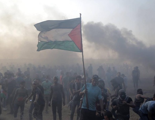 Galería de fotografías de Mohammed Zaanoun - Palestina