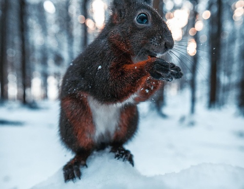 Gallery Of Photography By Daniel Weissenhorn - Germany