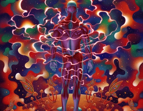 boris pelcer