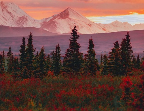 Gallery Of Photography By Patrick Thun - Alaska