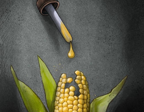 Gallery of Cartoons by Marcelo Chamorro from Ecuador