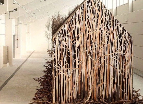 Doris Salcedo