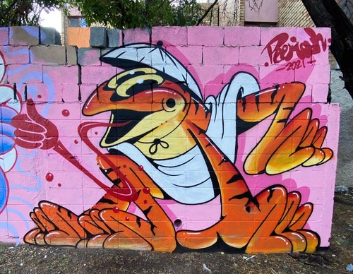 Gallery Of Street Art By Peemouh - Mexico