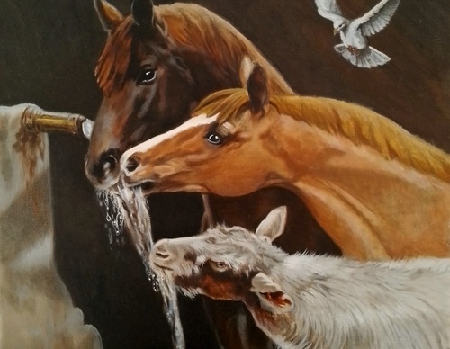 jorge castrillon