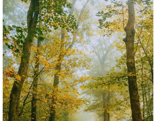Gallery Of Photography By Daniel Casson - United Kingdom