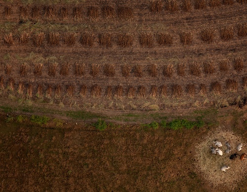 Gallery Of Photography By Renato Stockler - Brazil