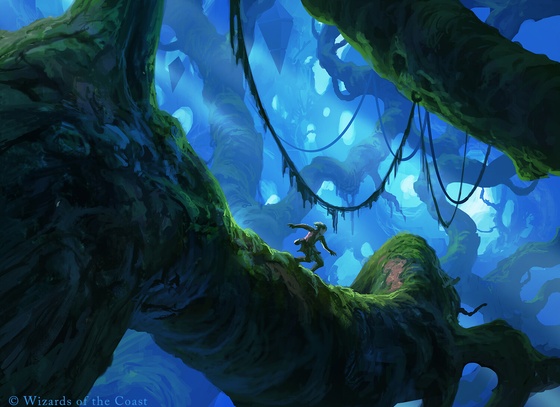 Andreas Rocha