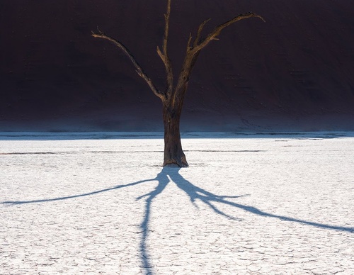 Gallery Of Photography By Marco Grassi - Argentina