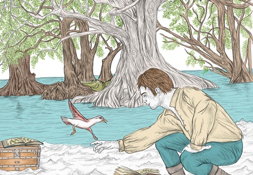 Galería de ilustraciones de Carolina Zambrano - Argentina