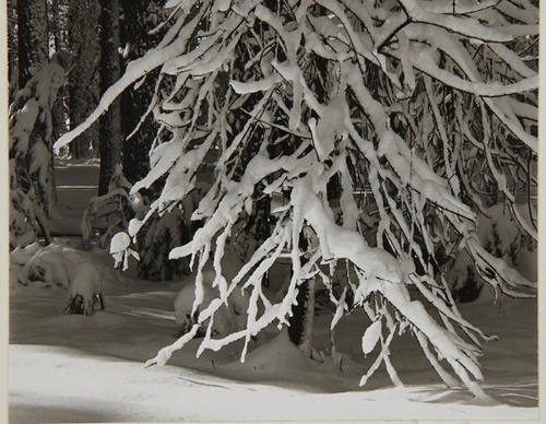 Galeria de fotografias de Ansel Adams - EUA