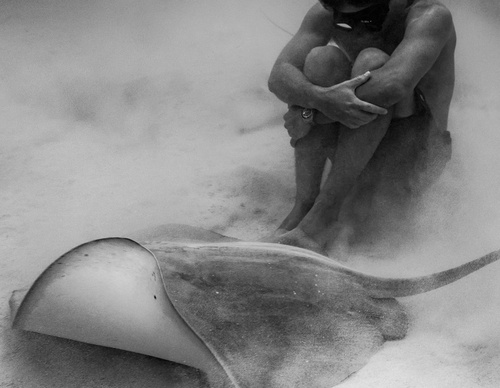Galeria de Fotografia de Cristina Goettsch Mittermeier - México