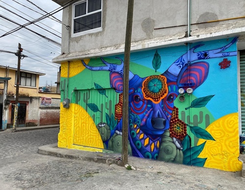 Gallery Of Street Art By Elchicho - Mexico
