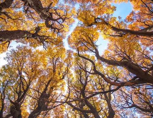 Gallery Of Photography By Fernando Gudenschwager - Chile