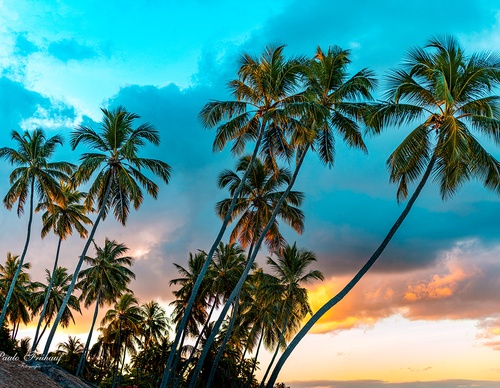 Gallery Of Photography By Norberto Kreutzer Fruhauf - Brazil