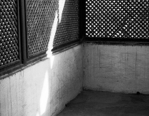 raymond depardon