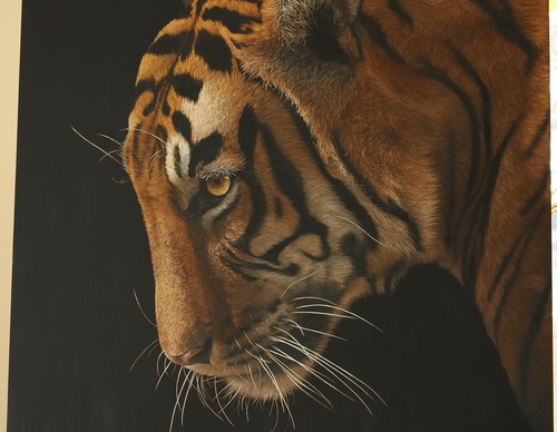 Galería de pintura realista de Annie Drew - Reino Unido