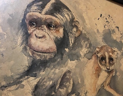 Gallery Of WaterColor Painting By Xavier Palau Blacio - Argentina