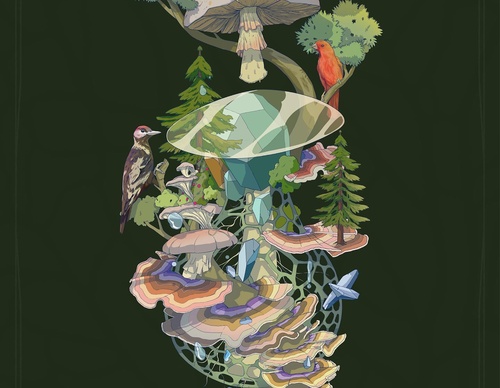 Galería De Ilustración De David Piñón - México