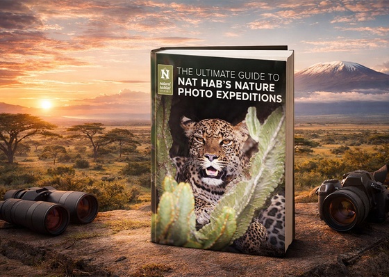 The Ultimate Guide to Nature Photo Expeditions