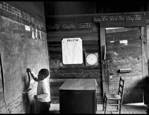 bruce davidson