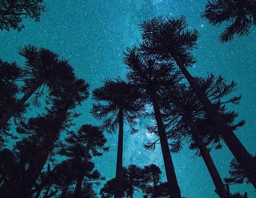 Gallery Of Photography By Fernando Gudenschwager - Chile